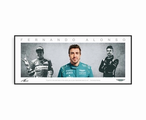 FERNANDO ALONSO PANORAMIC COLLAGE PRINT SIGNED FRAMED WINGShandmade souvenirs