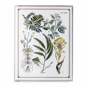 Ferns Panel #192 - 26"x20"bedding sets ,throw blankets 