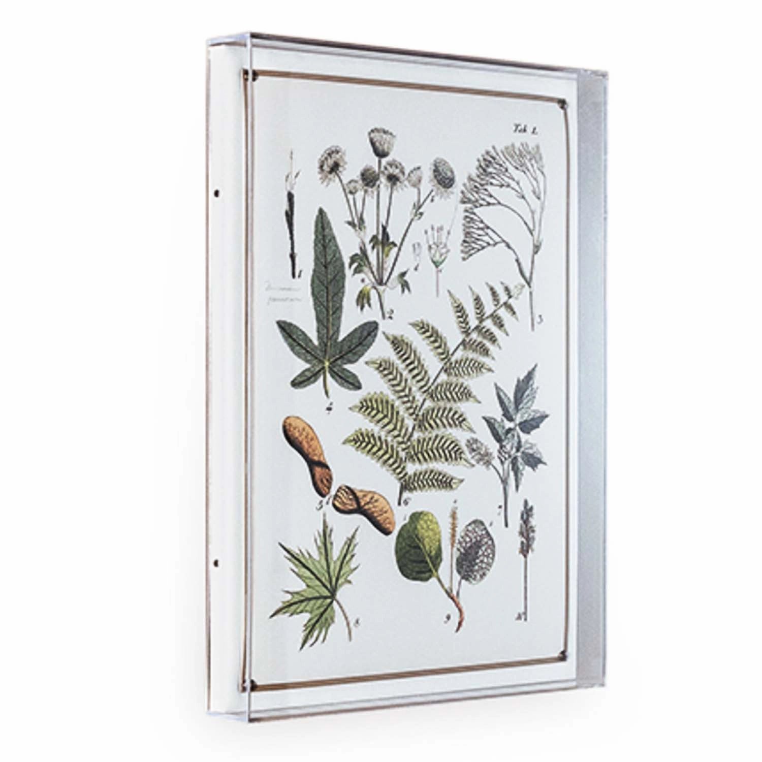 Ferns Panel #196 - 26"x20"