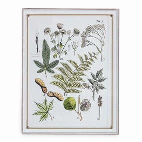 Ferns Panel #196 - 26"x20"bedding sets ,throw blankets 