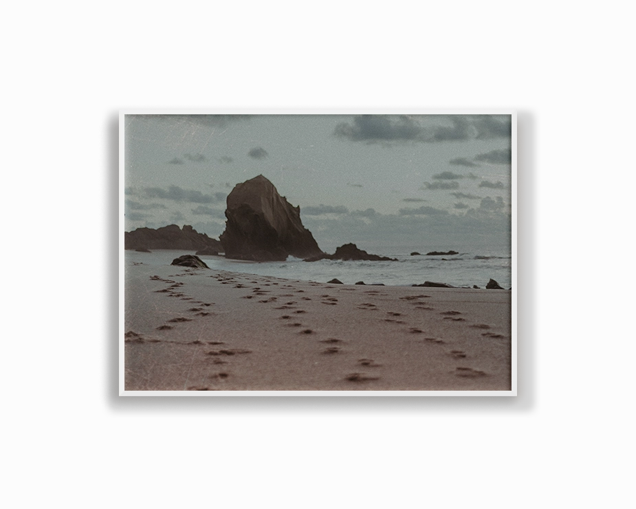 Film Series - One Rock