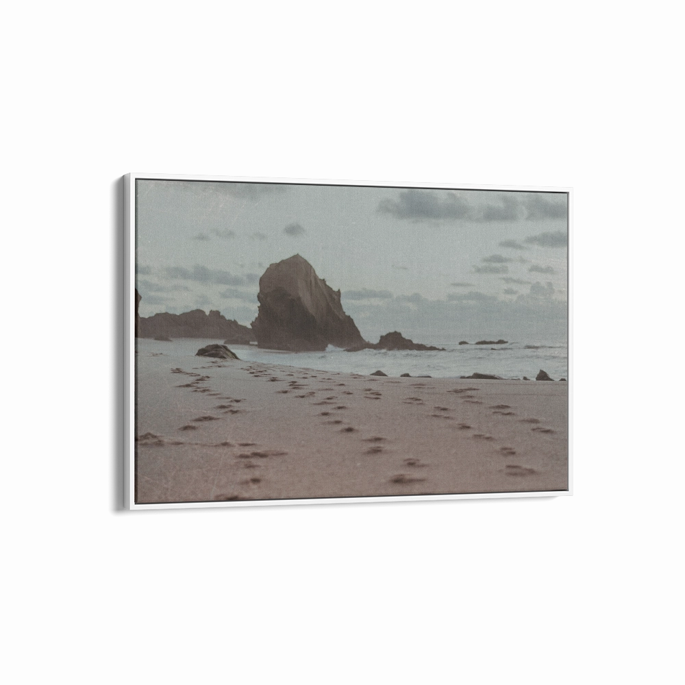 Film Series - One Rock
