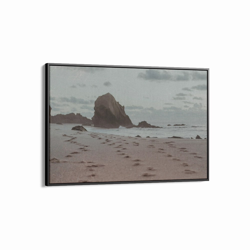 Film Series - One Rock