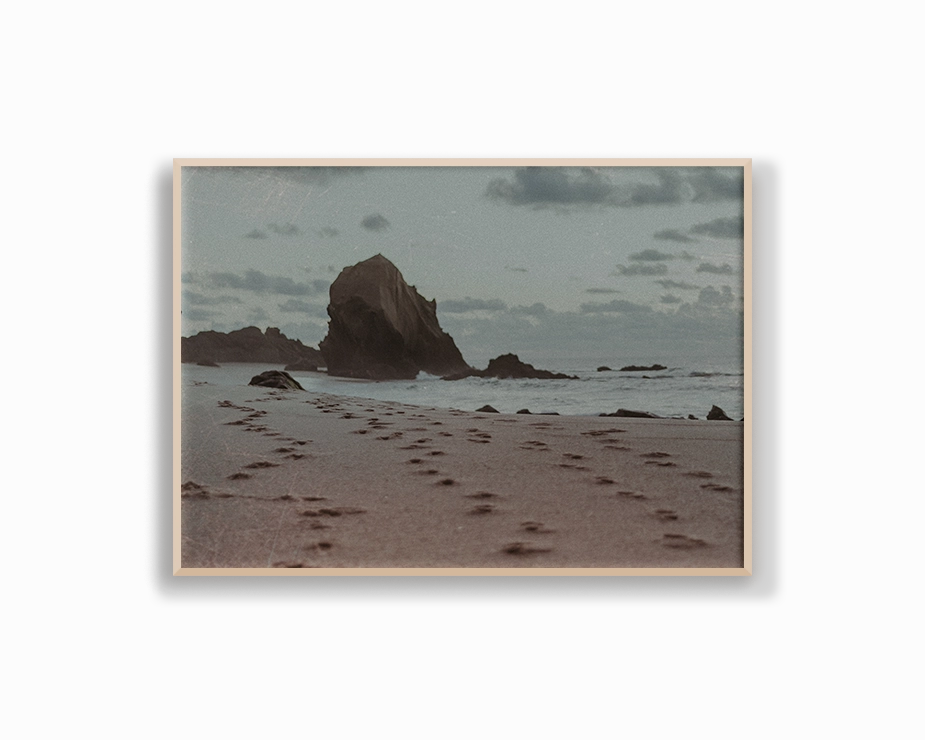 Film Series - One Rock