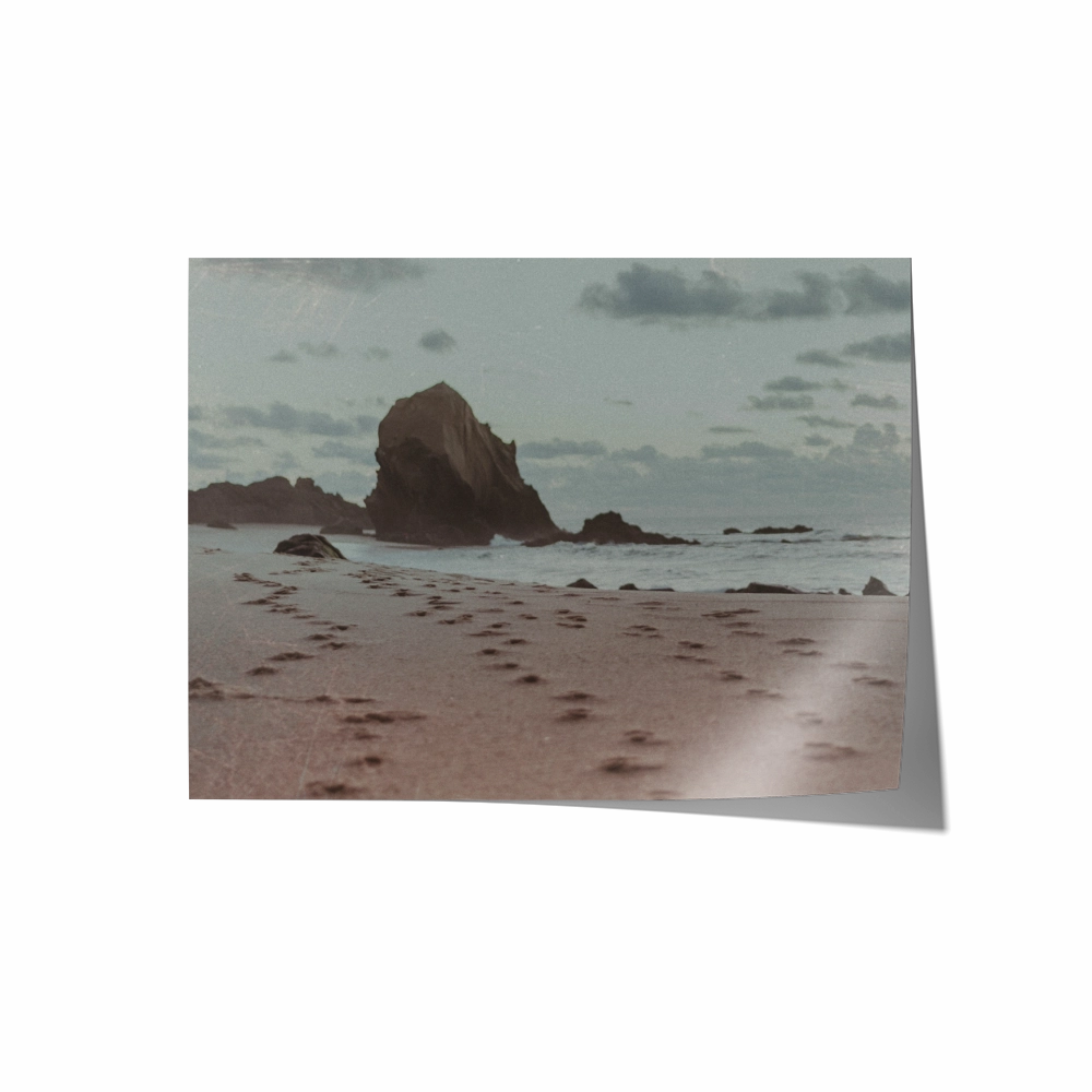 Film Series - One Rock