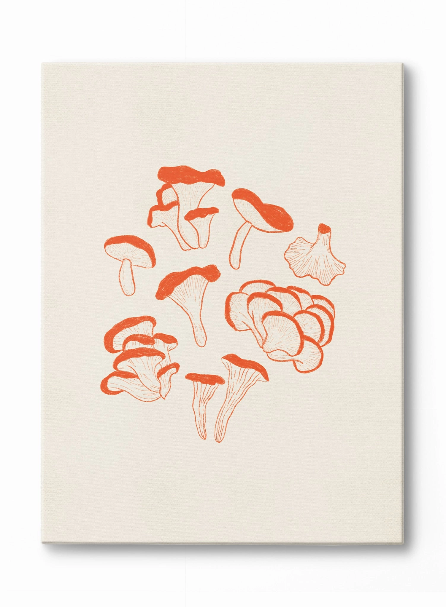 Foraged Funghi, Canvasindoor decorative canvas print
