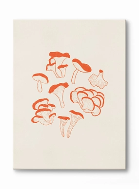 Foraged Funghi, Canvasindoor decorative canvas print