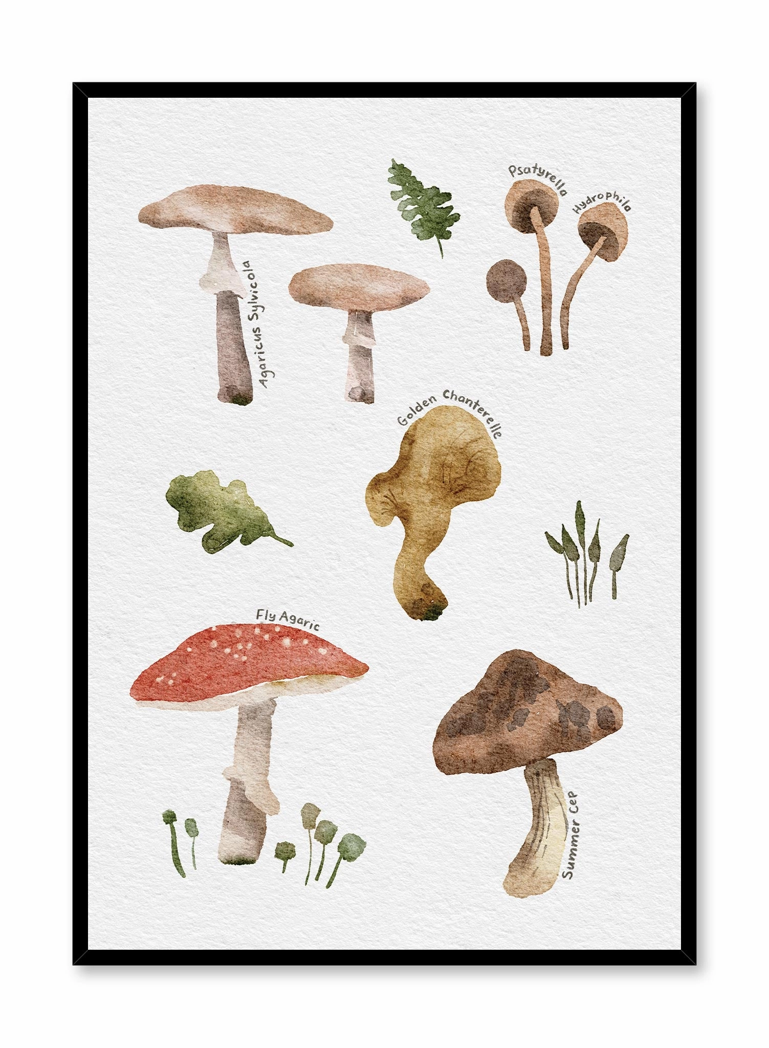 Foraging Mushrooms, Posterpop culture themed posters