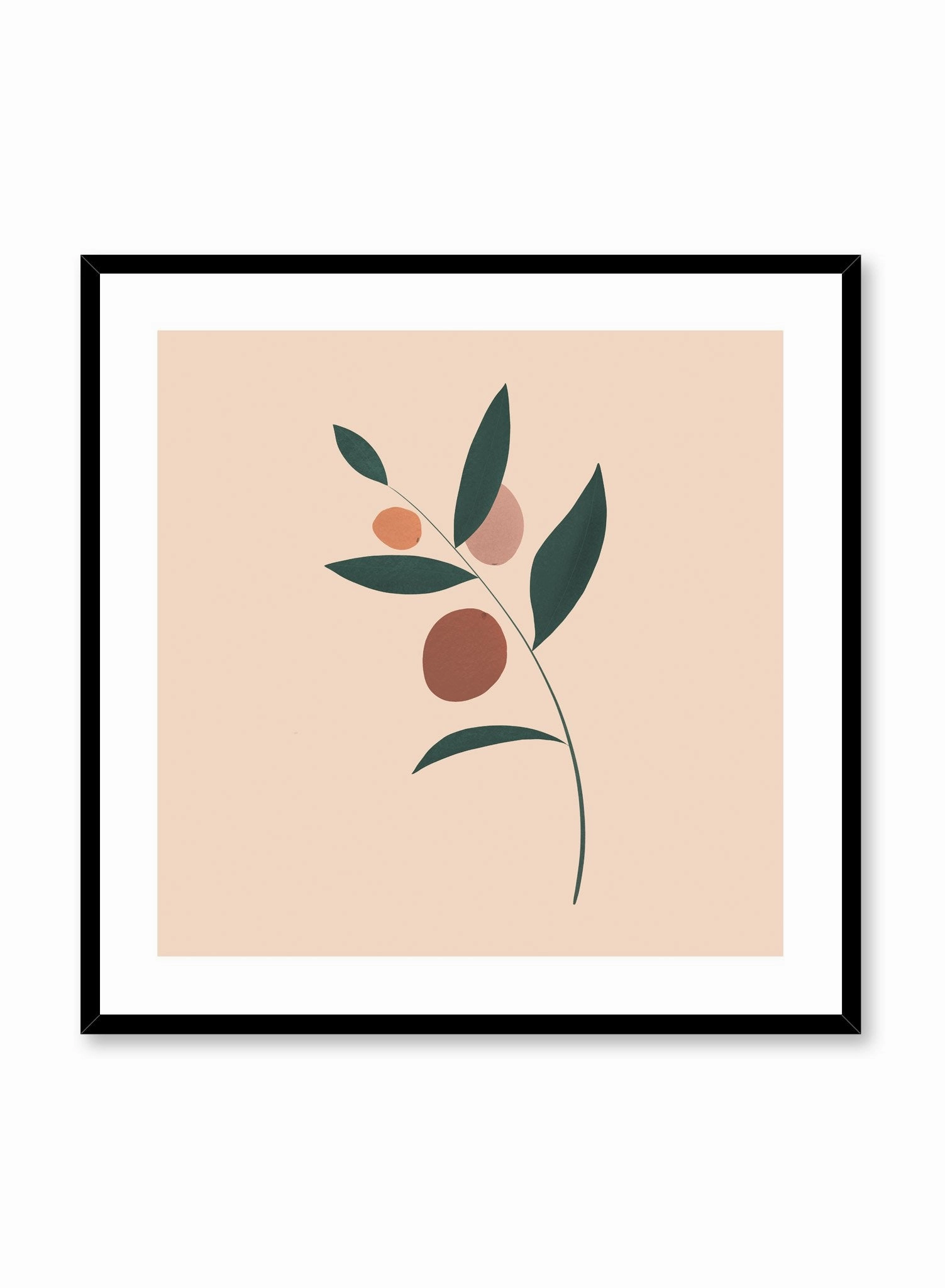Fruity, Poster