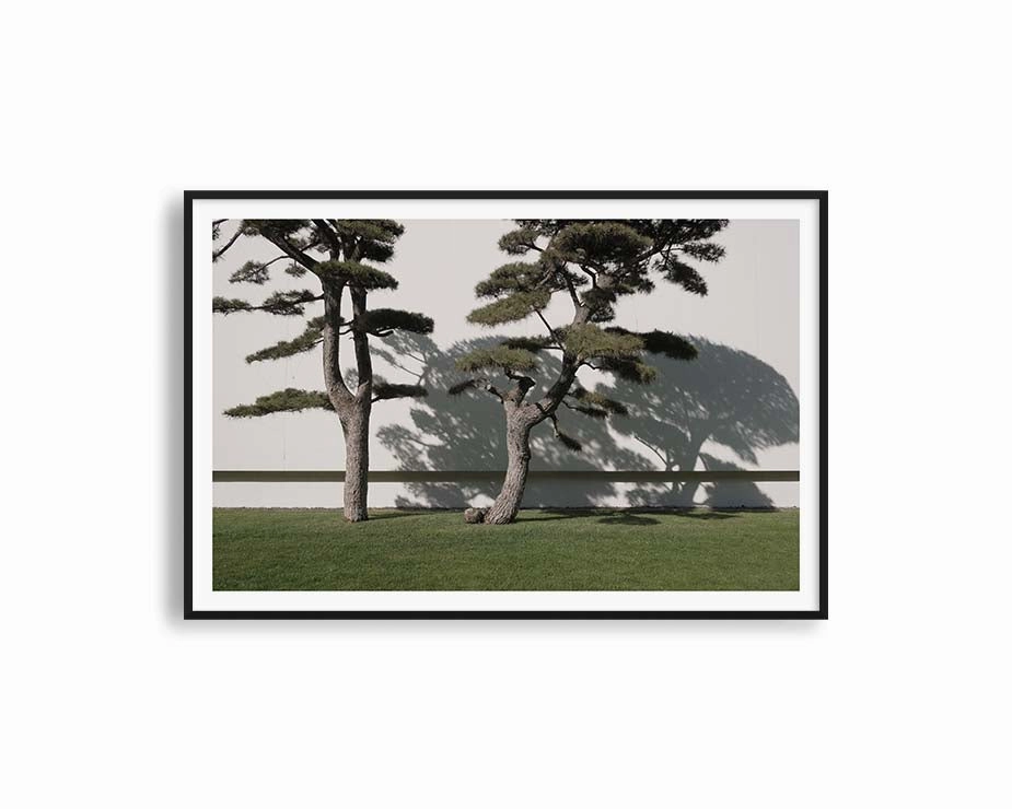 Fujifilm 1modern abstract painting decor