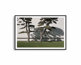 Fujifilm 1modern abstract painting decor