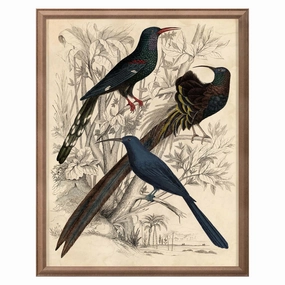 Gallivani Birds 2nordic style wall decor