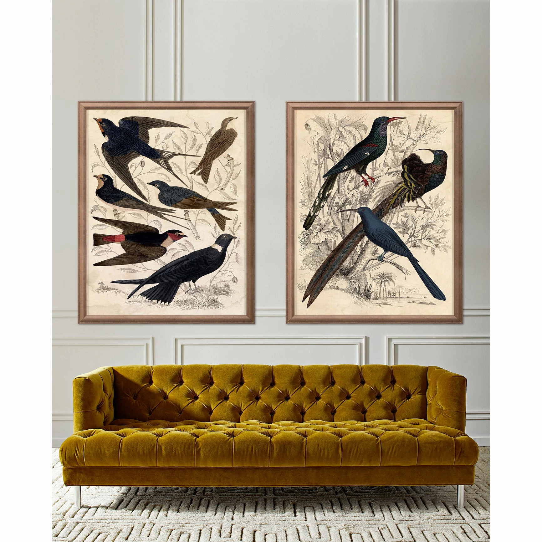 Gallivani Birds 2