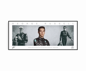 GEORGE RUSSELL PANORAMIC COLLAGE PRINT SIGNED FRAMED WINGShandmade souvenirs