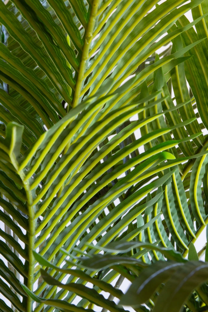 Giant Faux Palm Tree