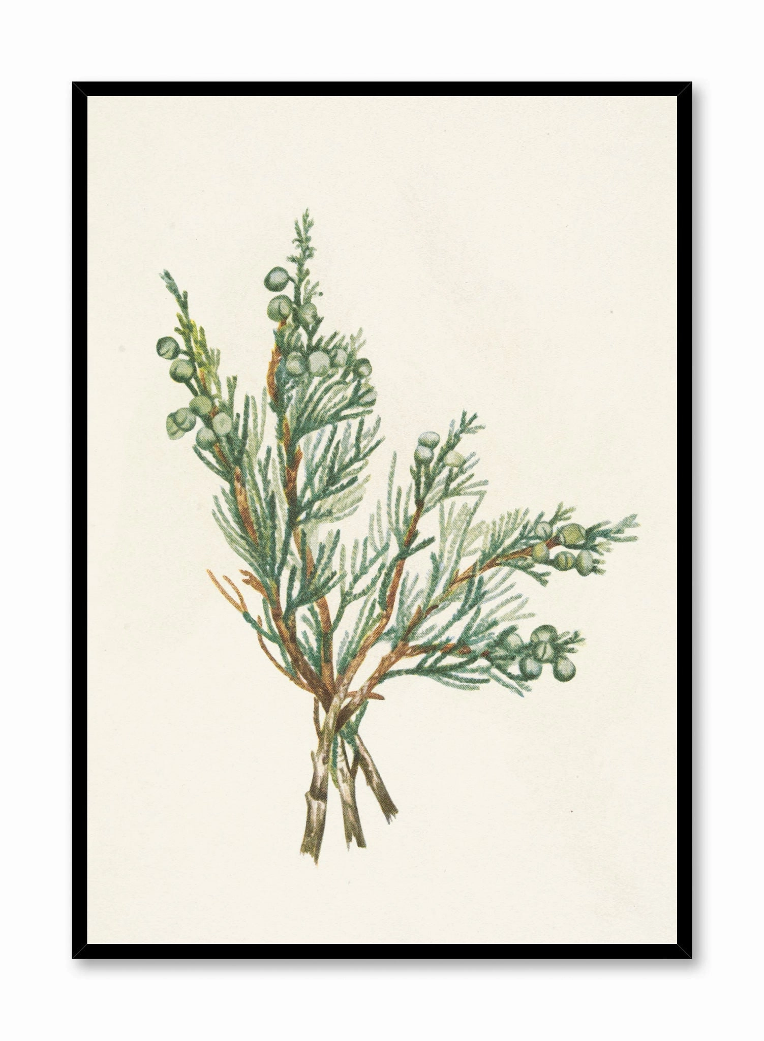 Gin and Juniper, Posterpop culture themed posters