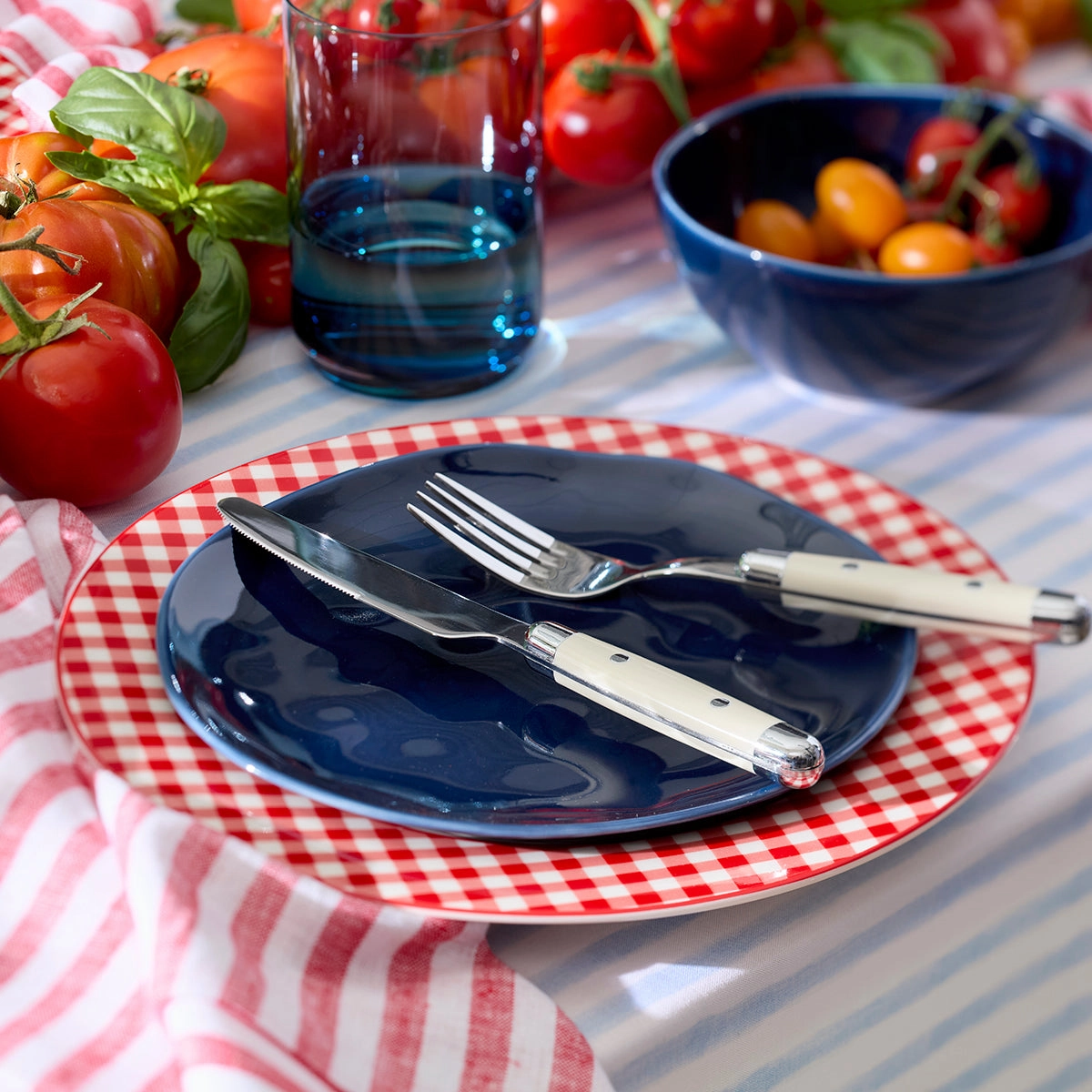 Gingham Red Dinner Plates - Set of 4