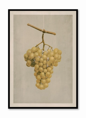 Golden Grape, Posterpop culture themed posters