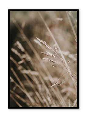 Golden Grasses, Posterpop culture themed posters