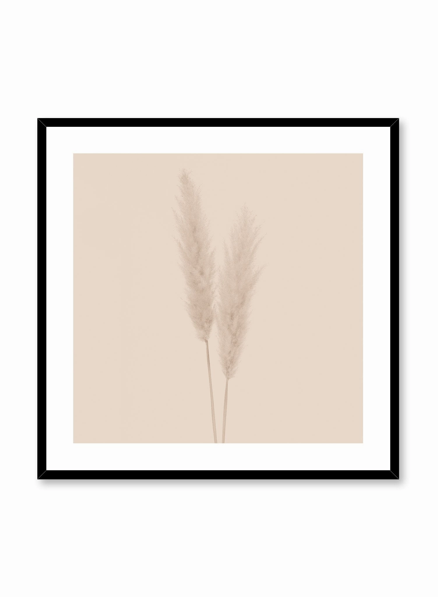 Grasses in Beige, Poster