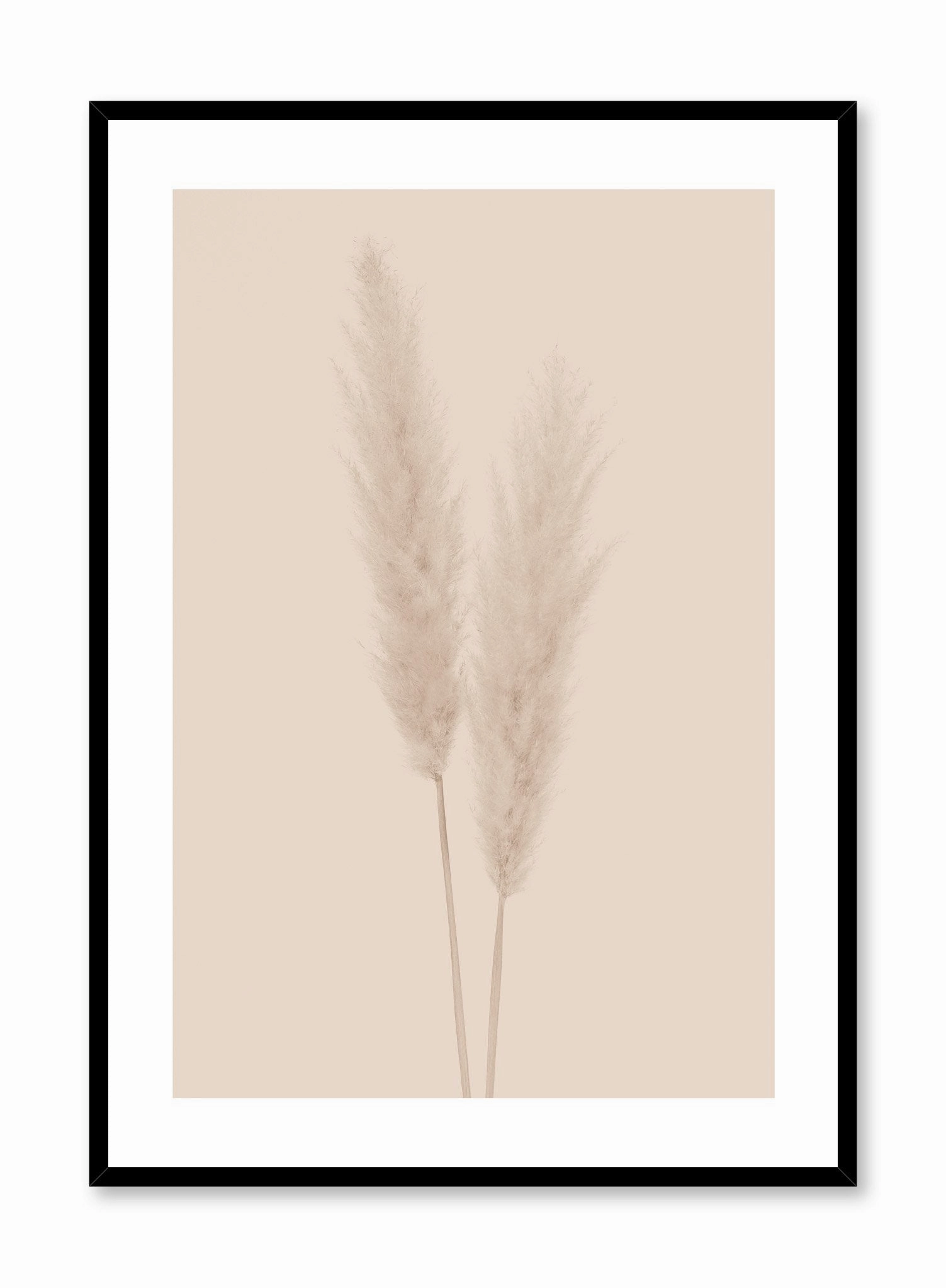 Grasses in Beige, Posterpop culture themed posters