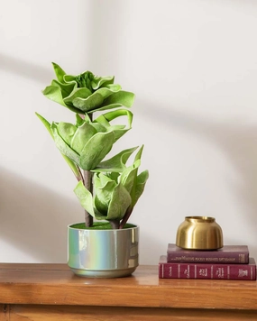 Green Tulip Artificial Flower Arrangementhome decor ,wall decor 