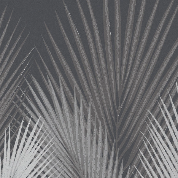 Grey Palm Wallpaper