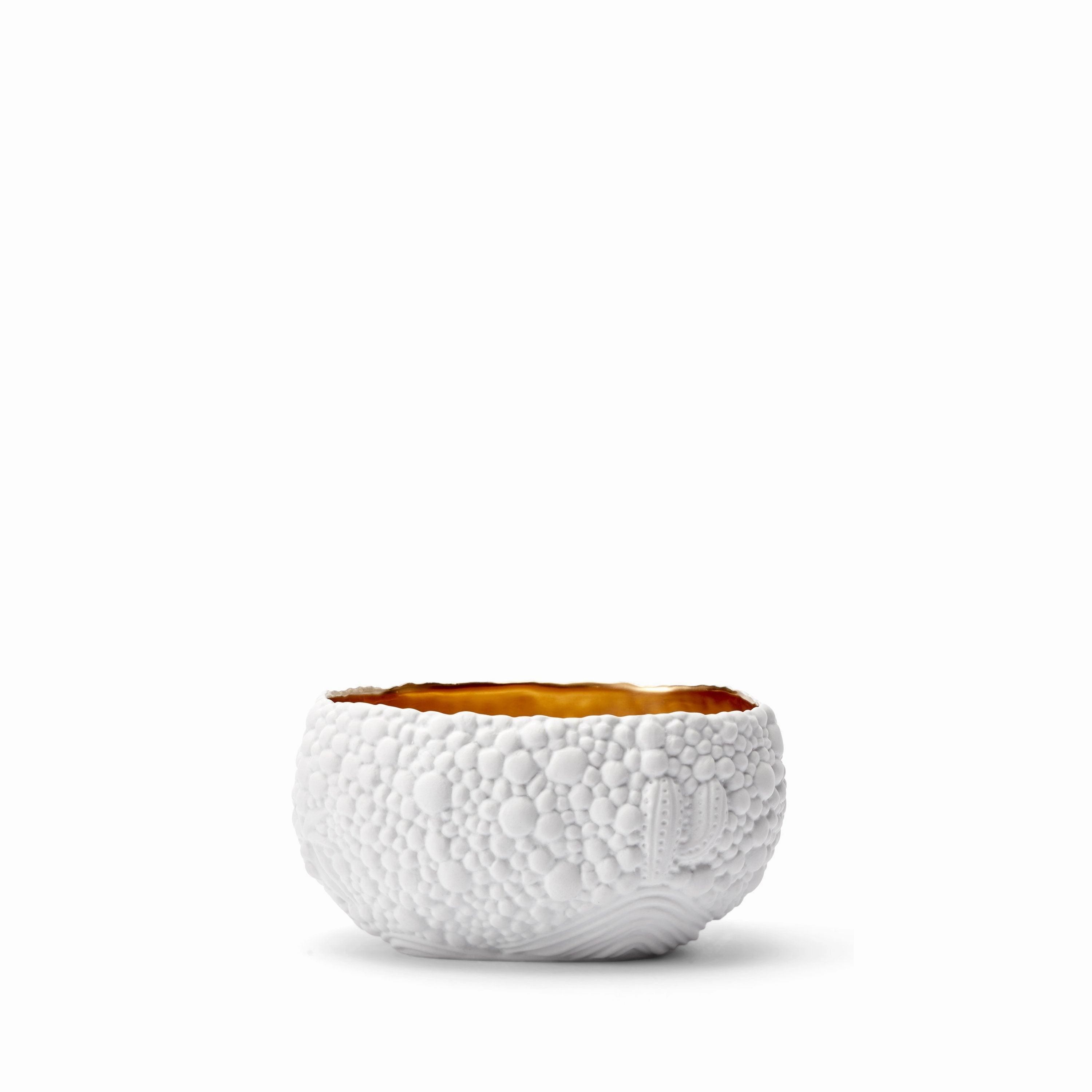 Haas Mojave Desert Bowl - Small - White   Gold