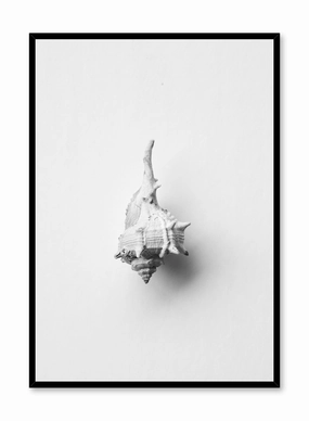 Horse Conch, Posterpop culture themed posters