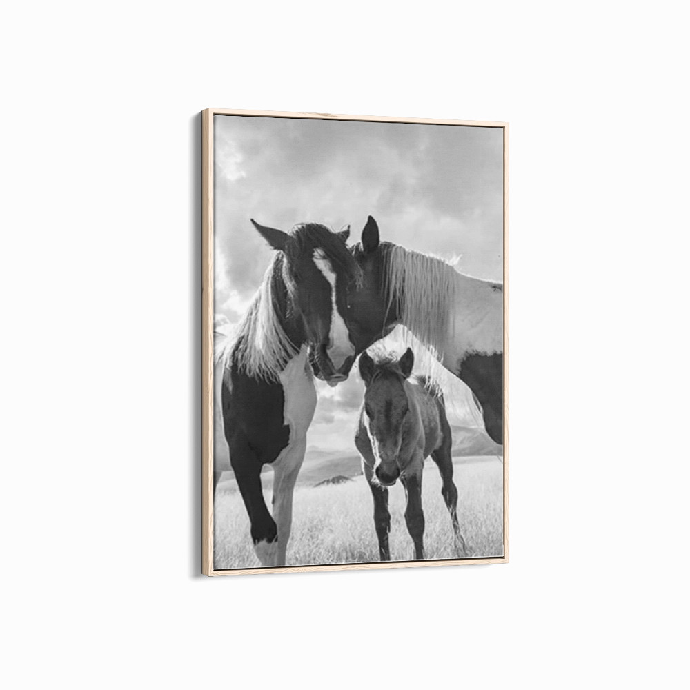 Horse Family