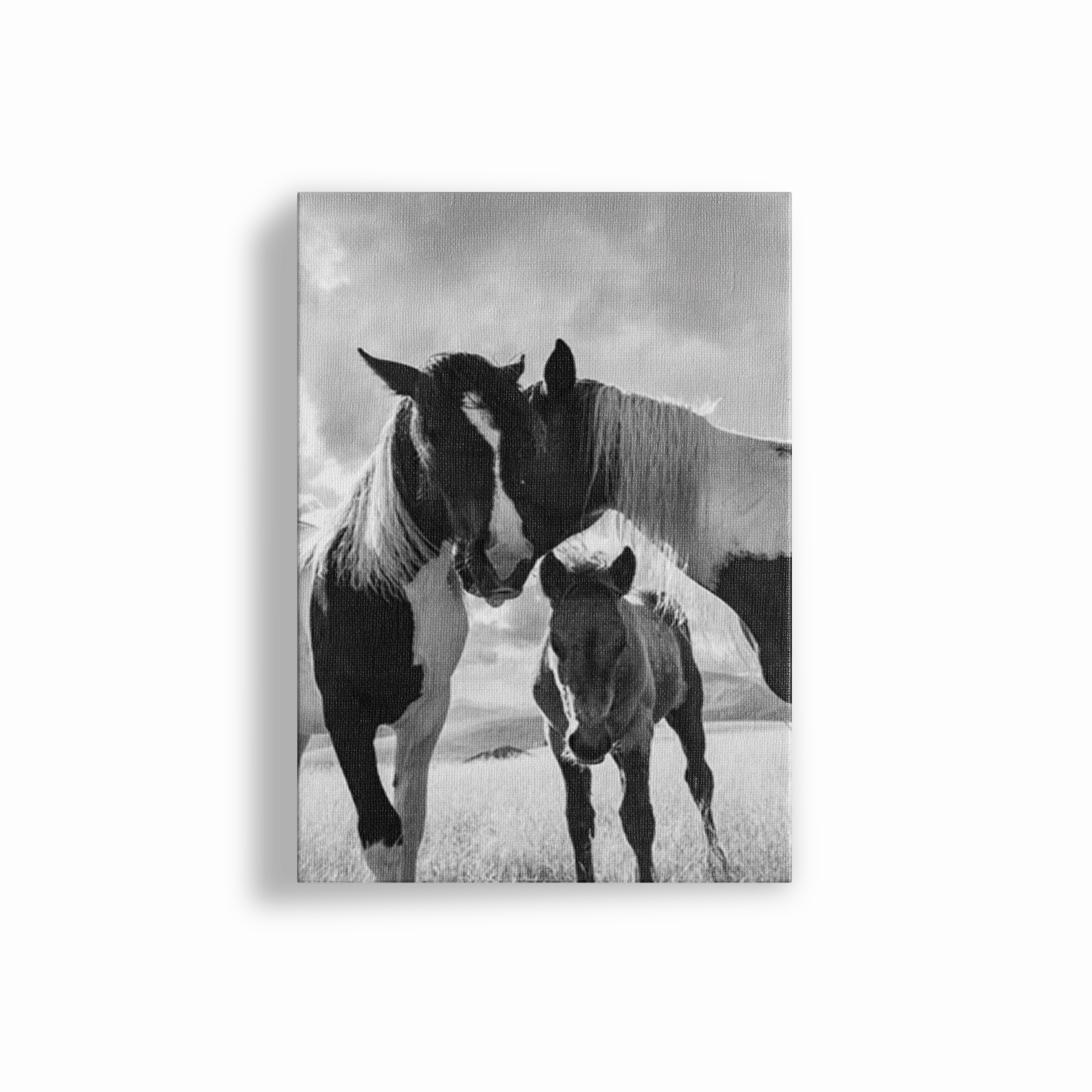 Horse Family