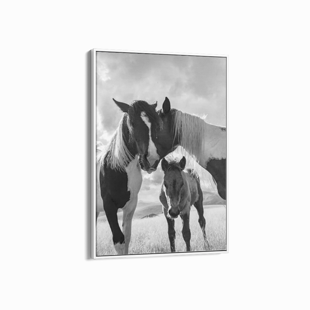 Horse Family