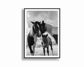 Horse Familymodern abstract painting decor