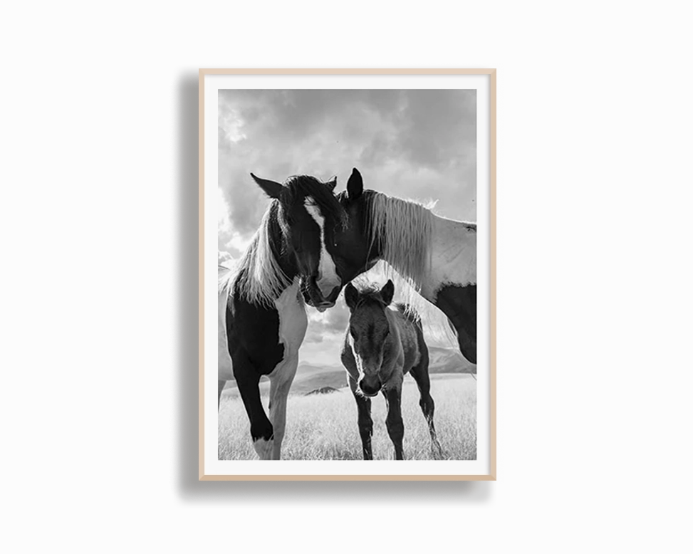 Horse Family