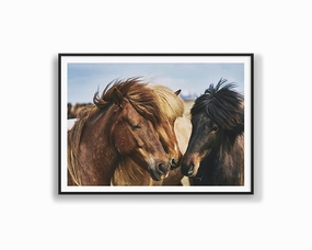 Horse Tribemodern abstract painting decor