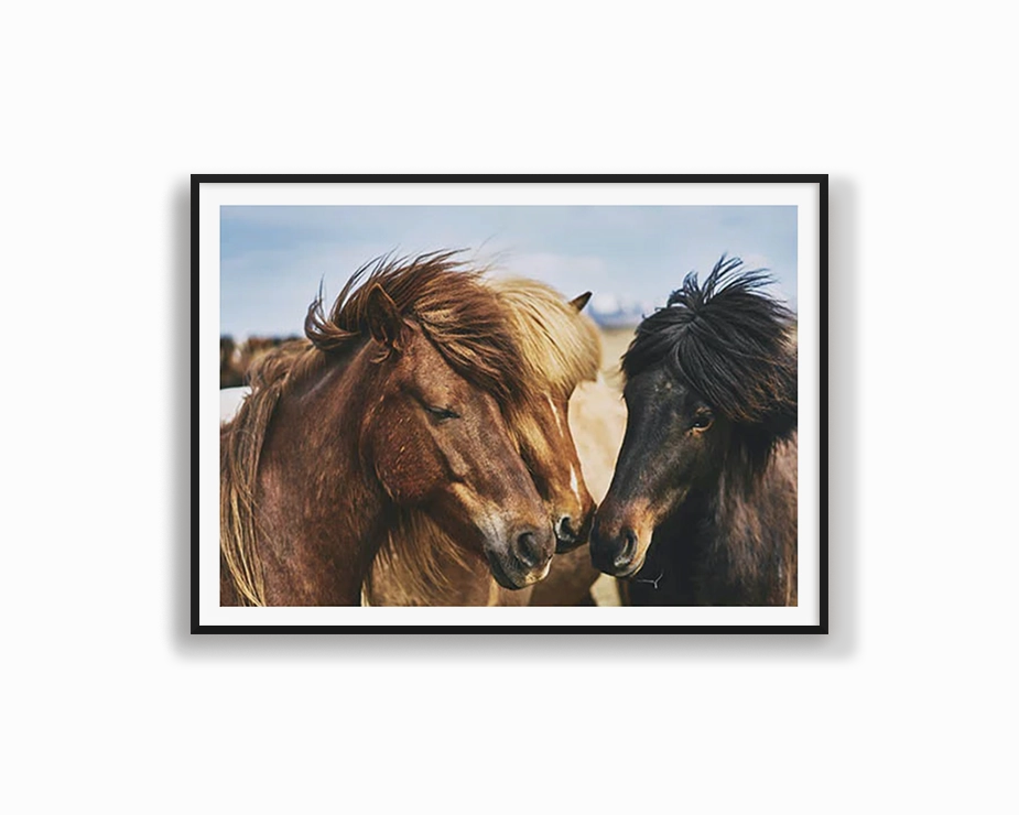 Horse Tribemodern abstract painting decor