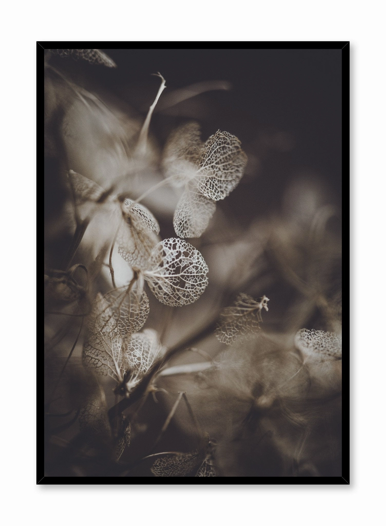 Hydrangea Detail, Posterpop culture themed posters