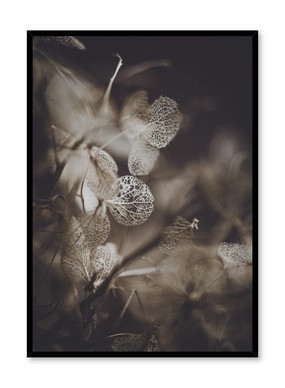 Hydrangea Detail, Posterpop culture themed posters