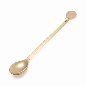Initial Teaspoon Natural Eboho style dinner plates for special occasions 