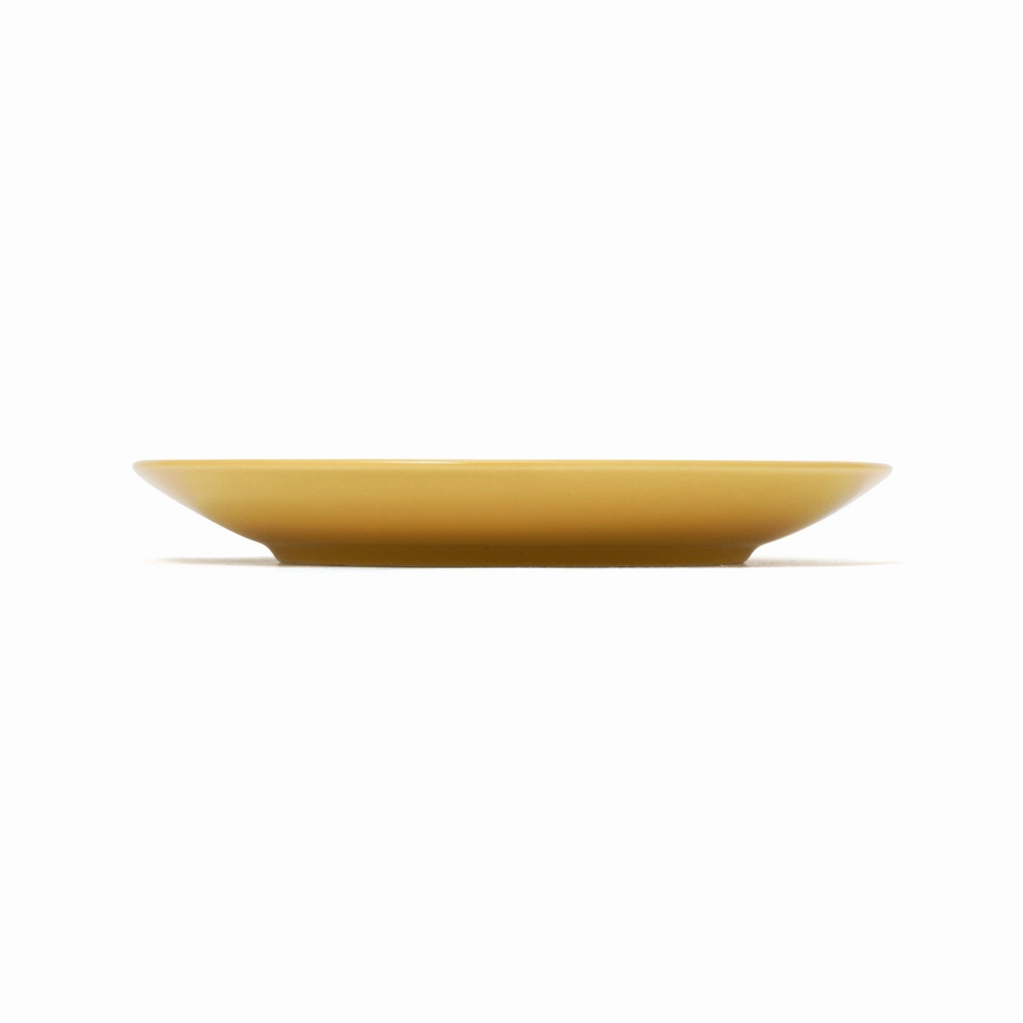 Iroiro Plates S Check
