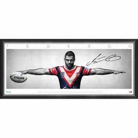 JAMES TEDESCO SIGNED WINGShandmade souvenirs