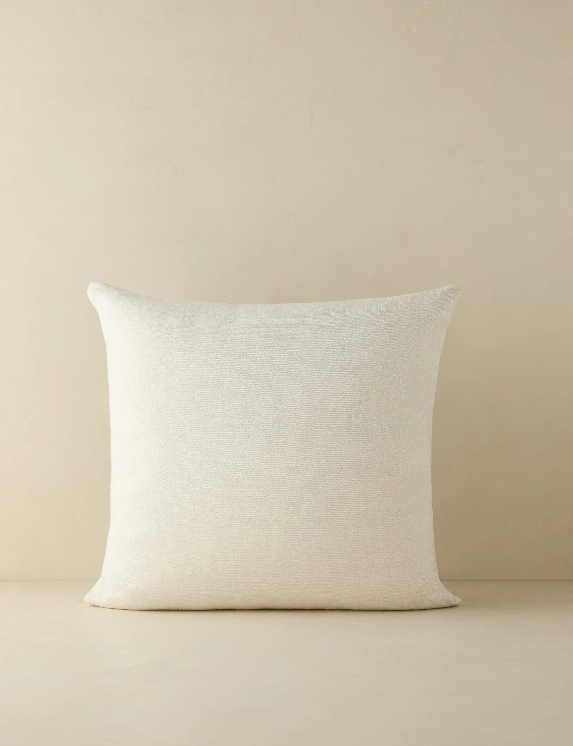 Jessa Indoor / Outdoor Pillow