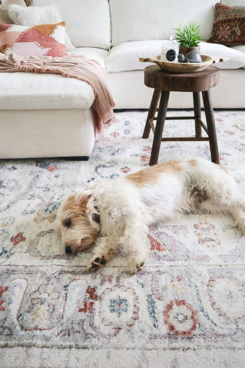 Jinnie Cream and Purple Multi-Colour Distressed Rug