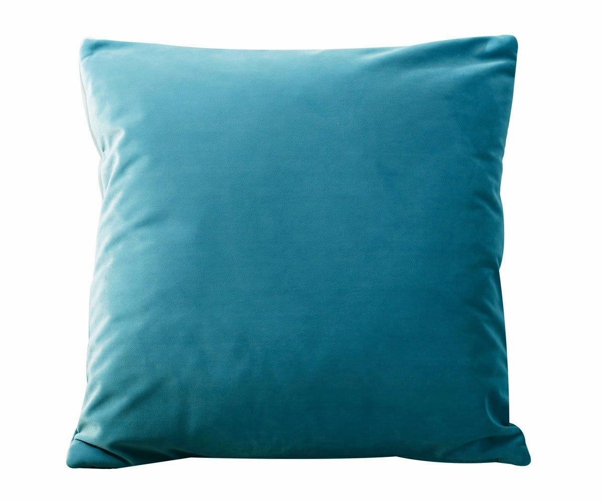 Joei Velvet Pillow