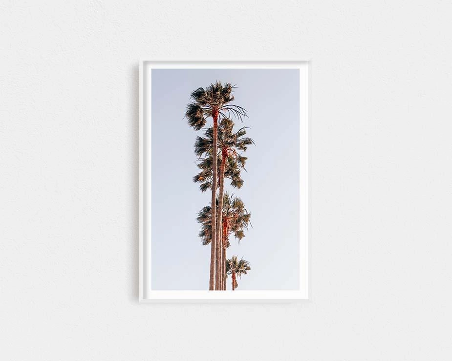 L.A Palmsnordic style wall decor