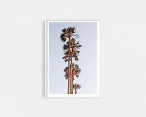 L.A Palmsnordic style wall decor
