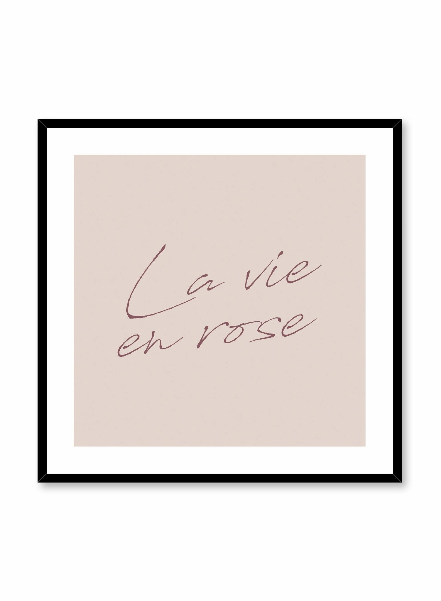 La Vie in Pink, Poster