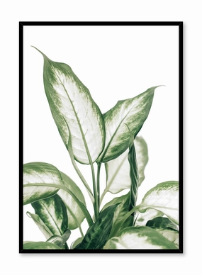 Leopard Lily, Posterpop culture themed posters