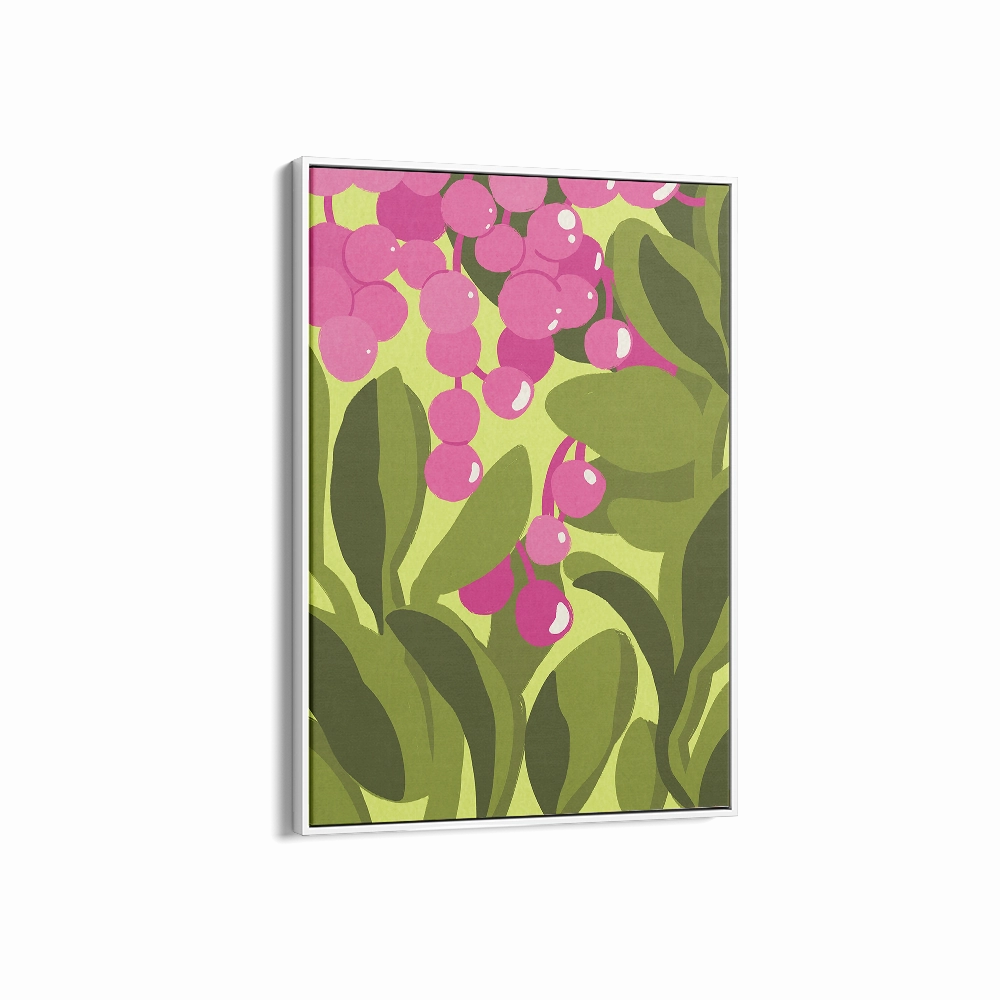 Lilly Pilly