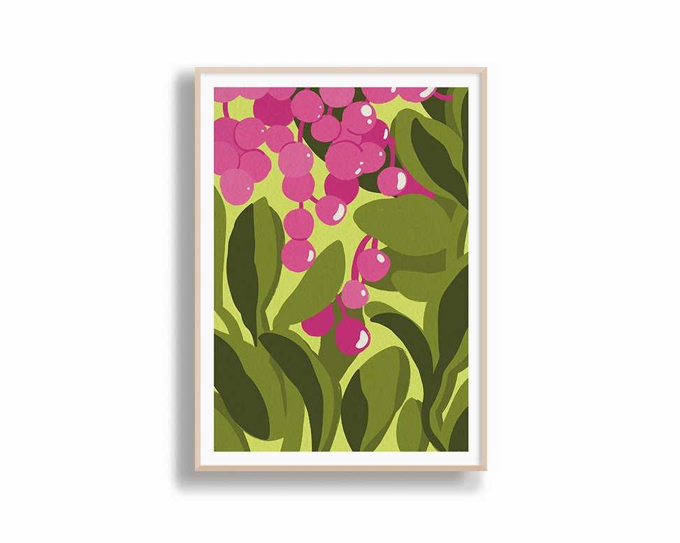 Lilly Pilly